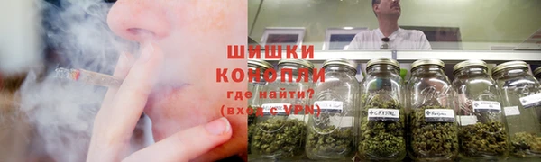 молекула духа Приозерск
