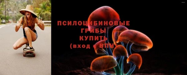 скорость Дмитриев