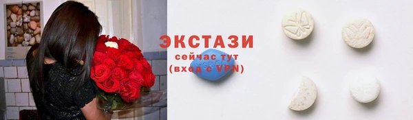 мдпв Протвино