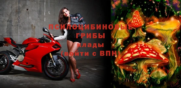 первитин Пролетарск