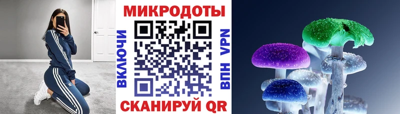 Псилоцибиновые грибы Cubensis магазин наркотиков Сегежа