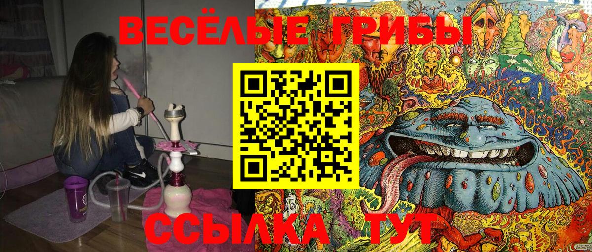 Галлюциногенные грибы ЛСД Сегежа