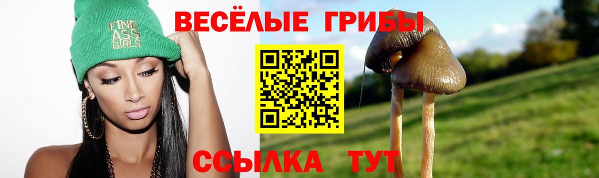 Галлюциногенные грибы ЛСД  Вход с VPN  цена наркотик  Сегежа  Галлюциногенные грибы Magic Shrooms 